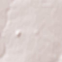 P'yatypill'ya Terrain Map