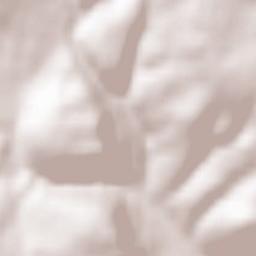 Soultzmatt Terrain Map