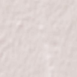 Benningen Terrain Map