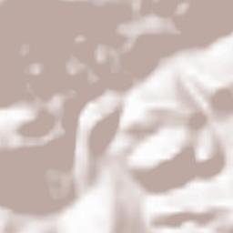 Frankenfels Terrain Map