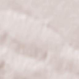 Municipiul Dorohoi Terrain Map