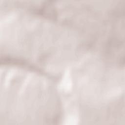 Ştiubieni Terrain Map