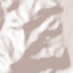 Oberried Terrain Map