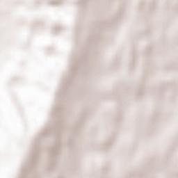 Nußdorf am Haunsberg Terrain Map