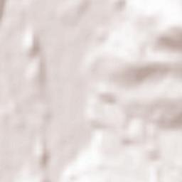 Neumarkt am Wallersee Terrain Map