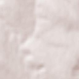 Rîşcani Terrain Map