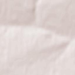 Biryukove Terrain Map