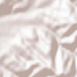 Bollschweil Terrain Map