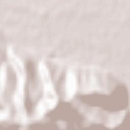 Sighetu Marmaţiei Terrain Map