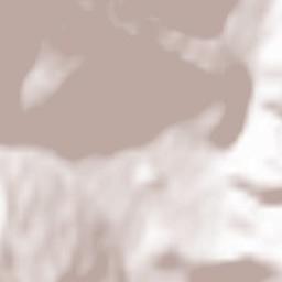 Valea Vișeului Terrain Map