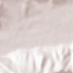 Comuna Straja Terrain Map