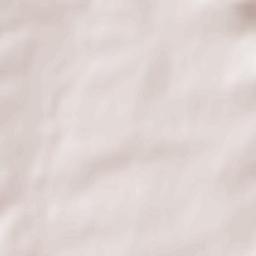 Aillant-sur-Tholon Terrain Map