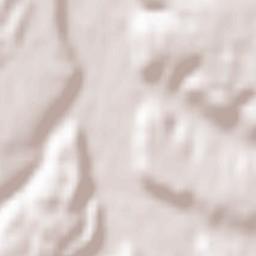 Friesenried Terrain Map