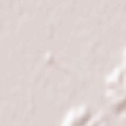 Buggingen Terrain Map