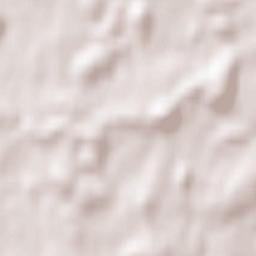 Fronreute Terrain Map