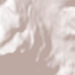 Oberwang Terrain Map