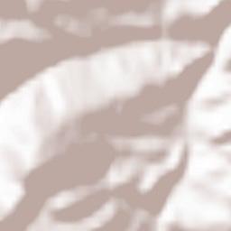 Waidmannsfeld Terrain Map