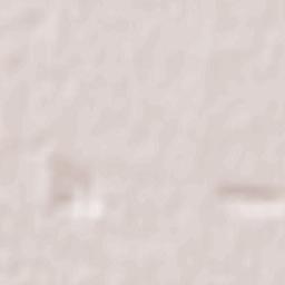 Theresienfeld Terrain Map