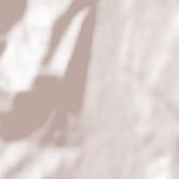 Berbești Terrain Map