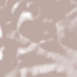 Steinbach Terrain Map