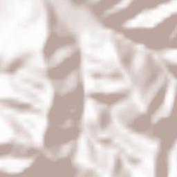 Sulzburg Terrain Map