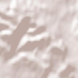 Frickingen Terrain Map