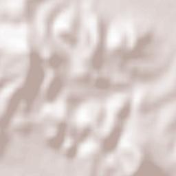 Oraşu Nou Terrain Map