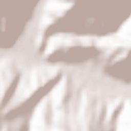 Comuna Repedea Terrain Map