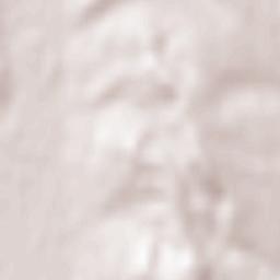 Satu Mare Terrain Map