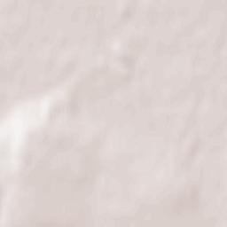 Zvoriştea Terrain Map