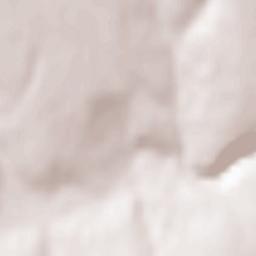 Şoldăneşti Terrain Map