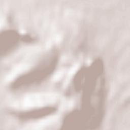 Mühlhausen-Ehingen Terrain Map