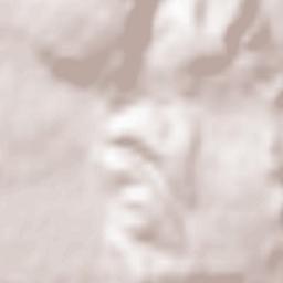 Steißlingen Terrain Map