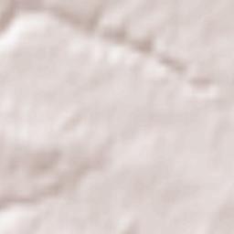 Fayl-Billot Terrain Map