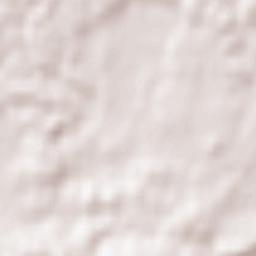 Waakirchen Terrain Map