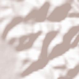 Viile Apei Terrain Map