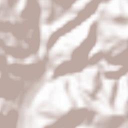 Valea Neagră Terrain Map