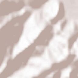 Leordina Terrain Map