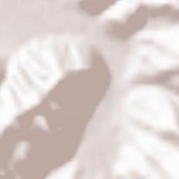 Comuna Leordina Terrain Map