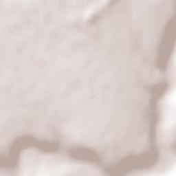 Rîbniţa Terrain Map