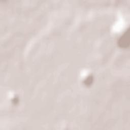 Novoshakhtinsk Terrain Map