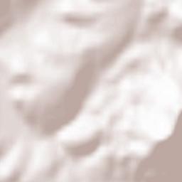 Schleitheim Terrain Map