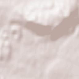 Gottmadingen Terrain Map