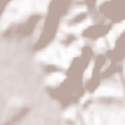 Rozavlea Terrain Map