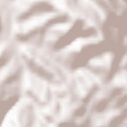 Izvoarele Sucevei Terrain Map