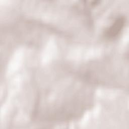 Stâncești Terrain Map