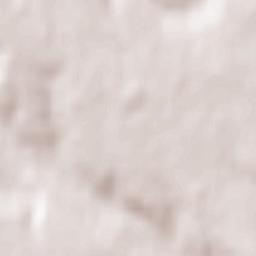 Municipiul Botoşani Terrain Map