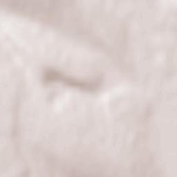 Ionășeni Terrain Map