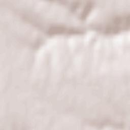 Podil’s’k Terrain Map