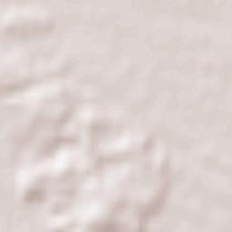 Burnhaupt-le-Bas Terrain Map